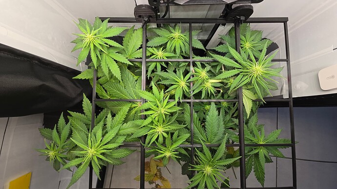 Growreport Bild 14