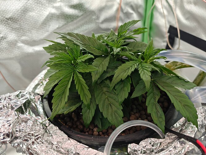 Growreport Bild 30