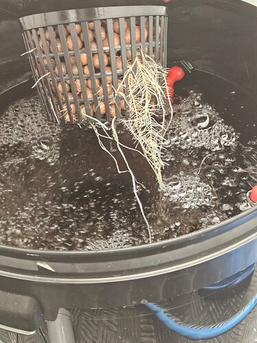 Growreport Bild 34