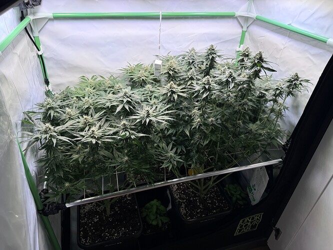 Growreport Bild 19