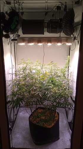 Growreport Bild 14