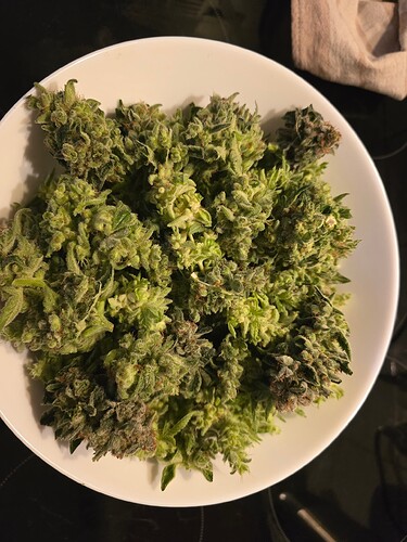 Growreport Bild 6