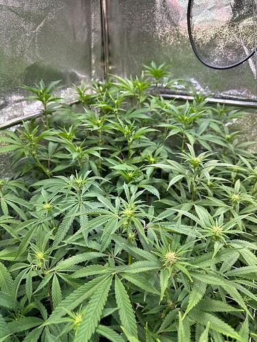 Growreport Bild 10