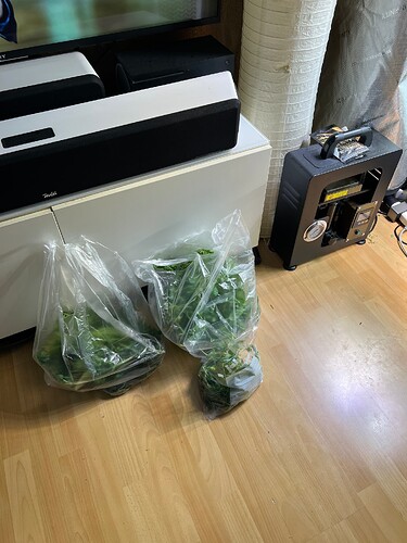 Growreport Bild 9