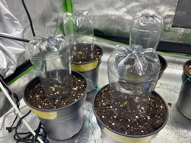 Growreport Bild 46