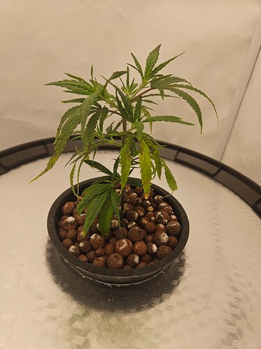 Growreport Bild 11