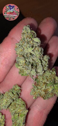 Growreport Bild 55