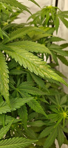 Growreport Bild 5