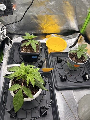 Growreport Bild 26