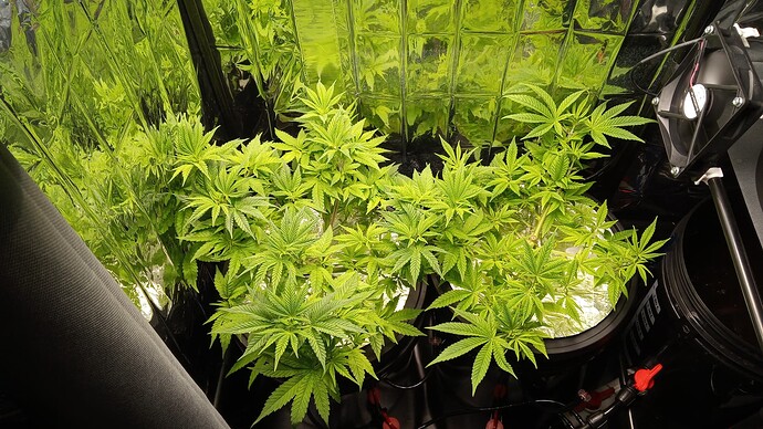 Growreport Bild 10