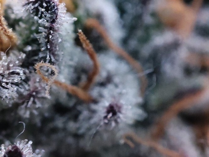 Growreport Bild 16