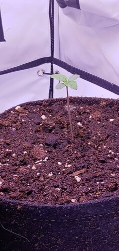 Growreport Bild 9