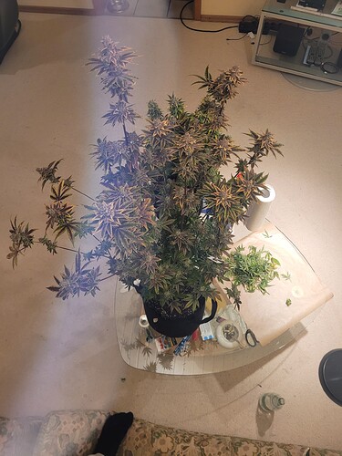 Growreport Bild 6