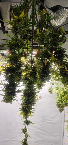 Growreport Bild 11