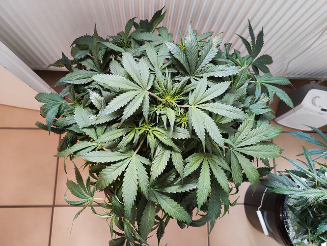 Growreport Bild 16