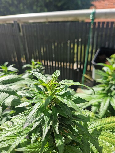 Growreport Bild 10