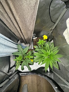 Growreport Bild 7