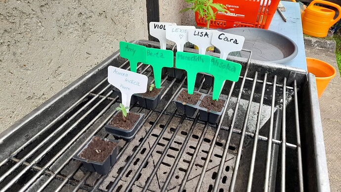Growreport Bild 26