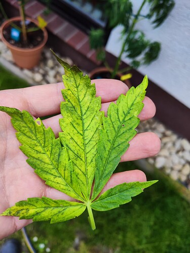 Growreport Bild 21