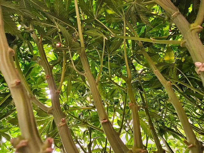 Growreport Bild 7
