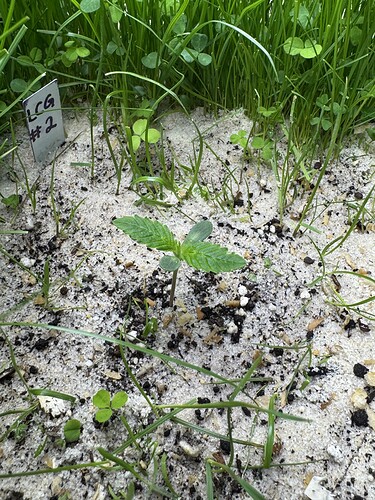 Growreport Bild 22