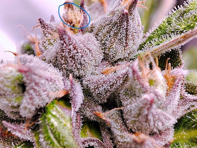 Growreport Bild 36