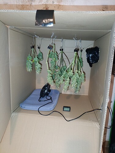 Growreport Bild 1