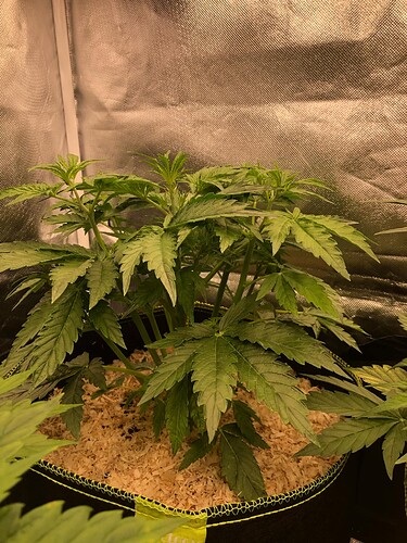 Growreport Bild 5