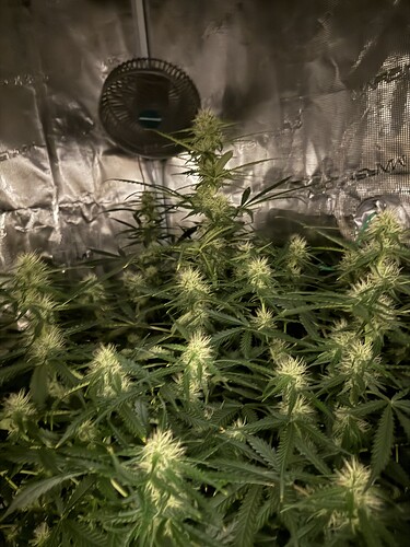 Growreport Bild 14