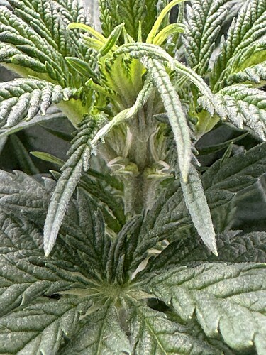 Growreport Bild 5