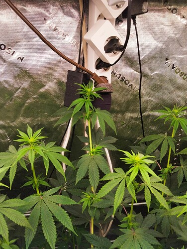 Growreport Bild 12