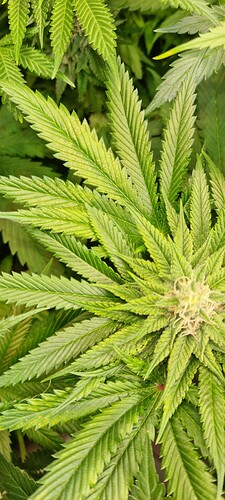 Growreport Bild 22