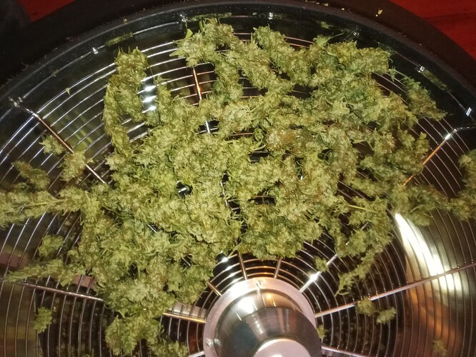 Growreport Bild 24