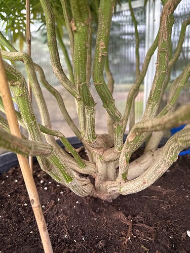 Growreport Bild 29