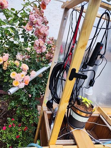 Growreport Bild 32