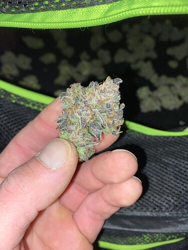 Growreport Bild 6