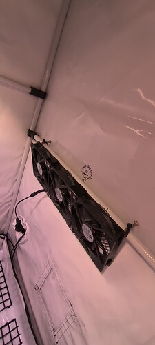 Growreport Bild 16
