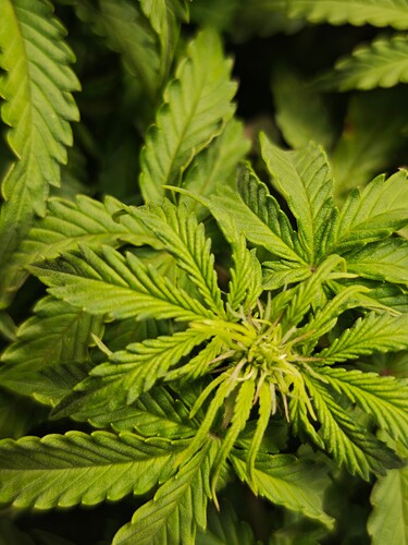 MVIMG_20251016_171309