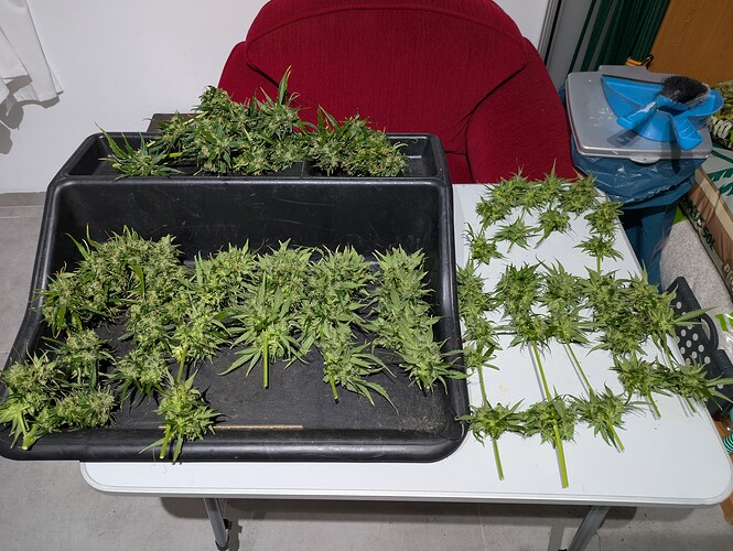 Growreport Bild 2