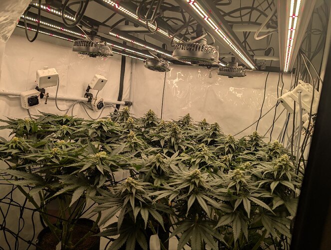 photo_2025-12-07_17-52-14