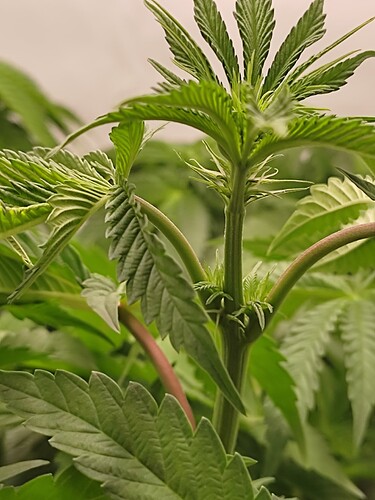 Growreport Bild 12