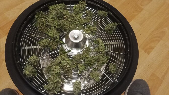 Growreport Bild 1