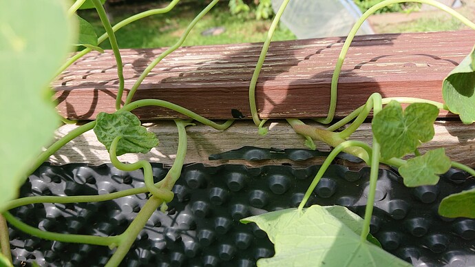 Growreport Bild 8