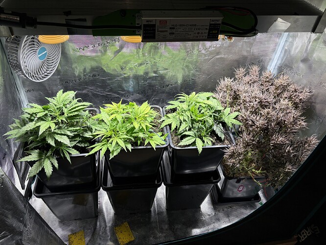 Growreport Bild 1