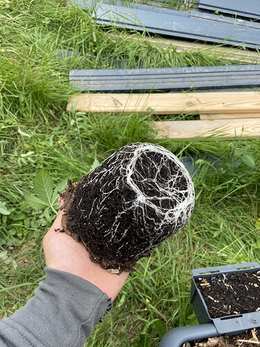 Growreport Bild 11