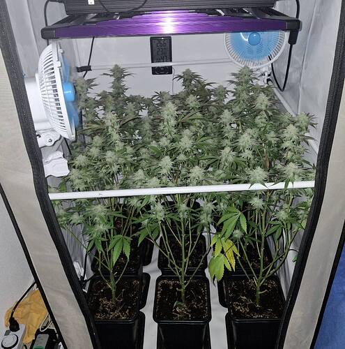 Growreport Bild 1