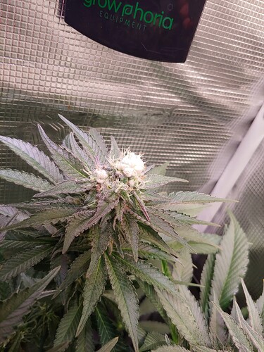 Growreport Bild 23