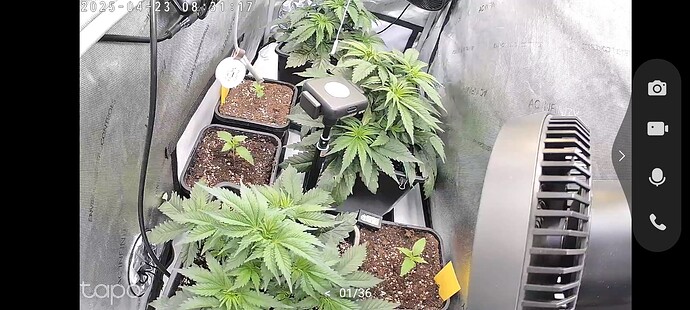 Growreport Bild 6