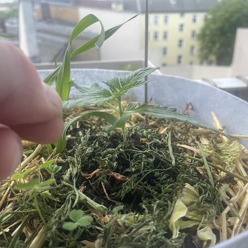 Growreport Bild 8