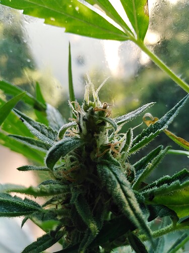 Growreport Bild 10